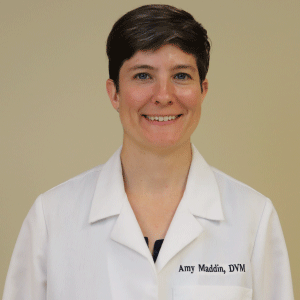 Dr. Amy Maddin